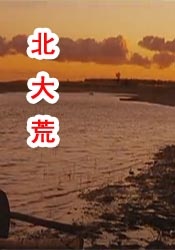 成人av电影在线