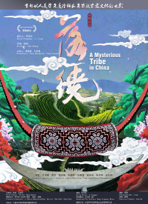 b站动态视频